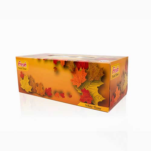 ফ্রেশ সুগন্ধিযুক্ত ফেসিয়াল টিস্যু – ১৫০ শীট X ২ প্লাই (বক্স)